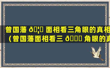 曾国藩 🦋 面相看三角眼的真相（曾国藩面相看三 🐋 角眼的真相是哪一集）